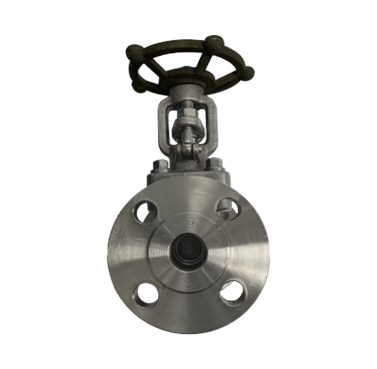 ANSI 150# SS316 Flange End Gate Valve
