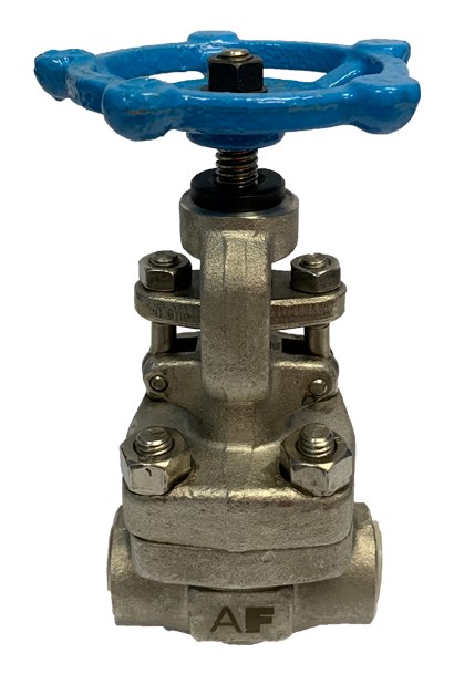 Threaded End SS316 Globe Valve 800PSI