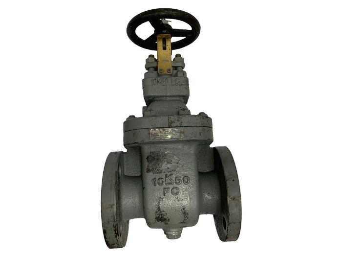 JIS 10K Cast Iron Flange End Globe Valve