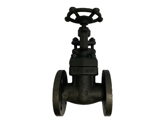 ANSI 150# Forged Steel Flange End Globe Valve