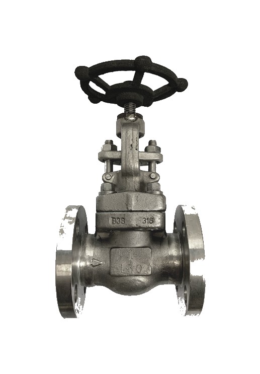 ANSI 150# SS316 Flange End Globe Valve