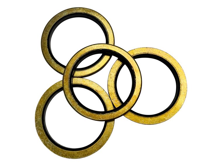 GS Hydro Bonded Seals