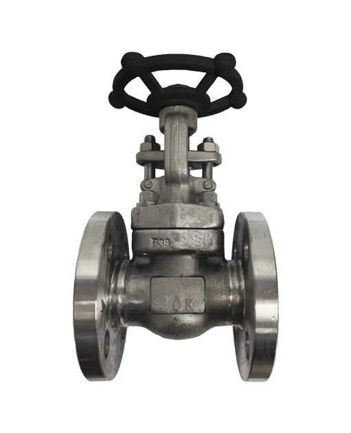 JIS 10K SS316 Flange End Gate Valve
