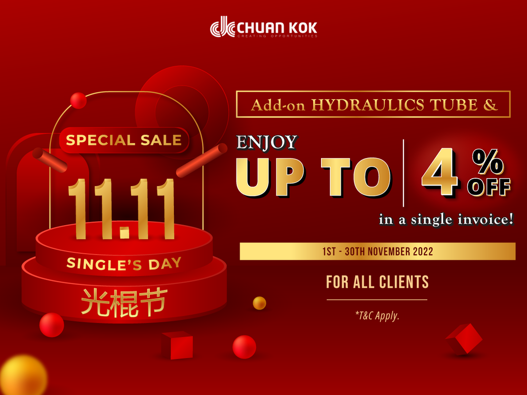 Double 11 Promo