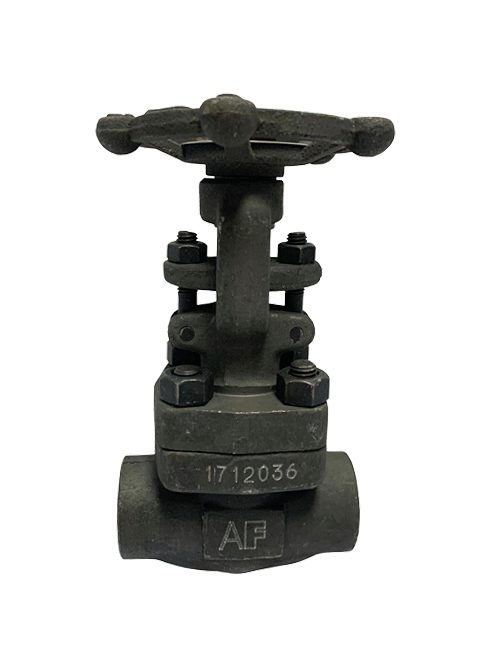 Threaded End A105 Gate Valves 800PSI