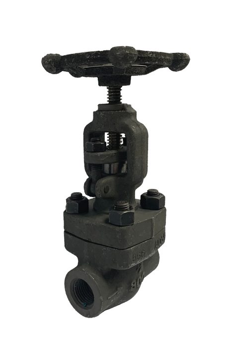 Threaded End Forged Steel Globe Valve