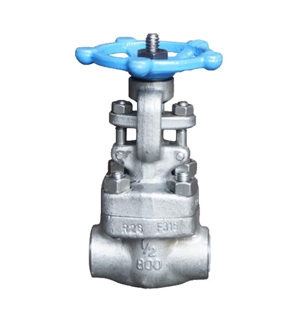 Threaded End SS316 Gate Valve 800PSI