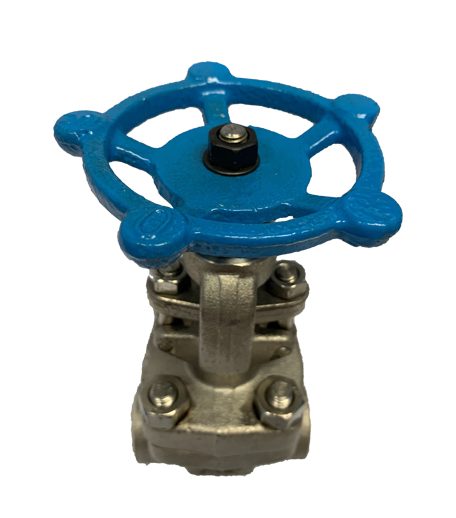 Threaded End SS316 Globe Valve 800PSI