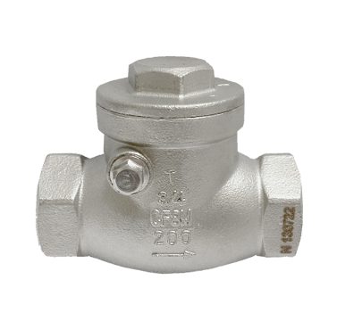 Threaded End SS316 Swing Check Valve